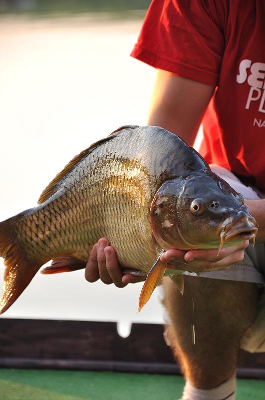 Laguna Verde - dsc4403.jpg